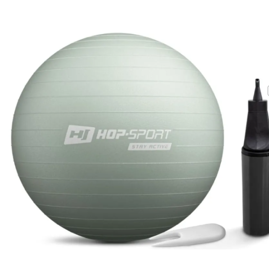 Купить Фитбол  Hop-Sport 45cm HS-R045YB sage + насос в Киеве - фото №1